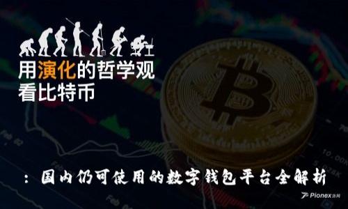 : 国内仍可使用的数字钱包平台全解析
