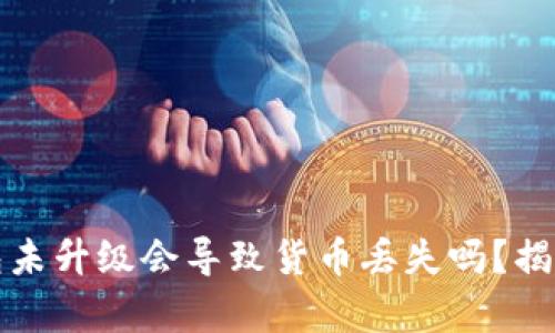 加密货币钱包未升级会导致货币丢失吗？揭秘背后的真相