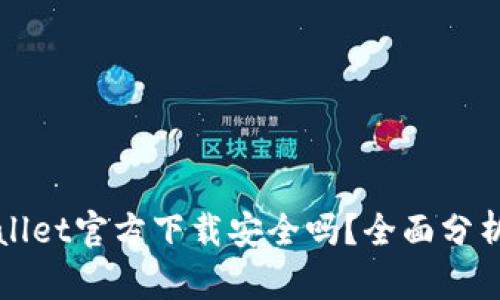 最新版TPWallet官方下载安全吗?全面分析与使用指南