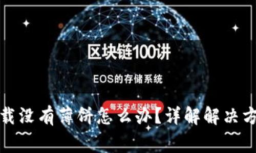 tpwallet新下载没有薄饼怎么办?详解解决方案与常见问题