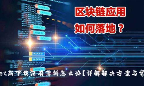 tpwallet新下载没有薄饼怎么办?详解解决方案与常见问题