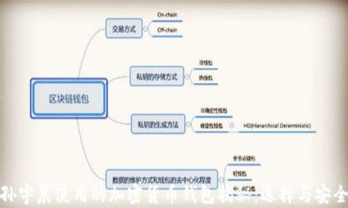 孙宇晨使用的加密货币钱包揭秘:选择与安全