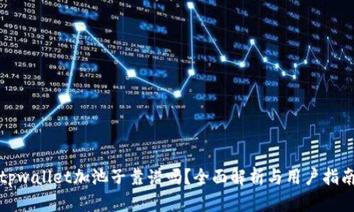 tpwallet加池子靠谱吗?全面解析与用户指南