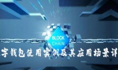 数字钱包使用实例及其应用场景详解
