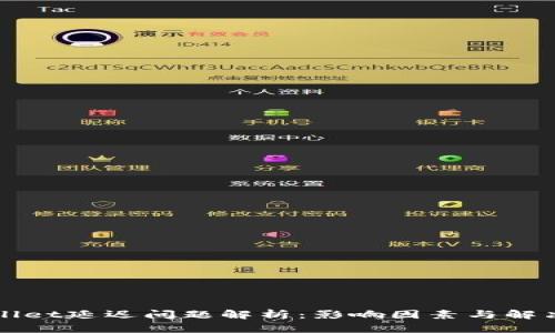 TPWallet延迟问题解析：影响因素与解决方案