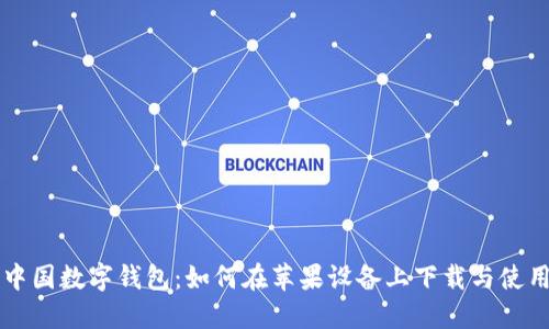 中国数字钱包:如何在苹果设备上下载与使用
