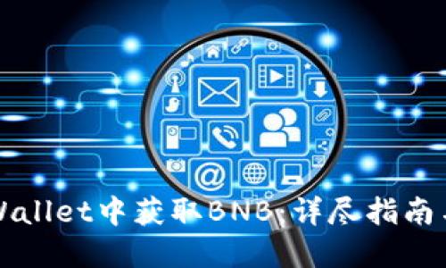 如何在TPWallet中获取BNB：详尽指南与实用技巧