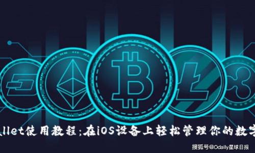 TPWallet使用教程:在iOS设备上轻松管理你的数字资产