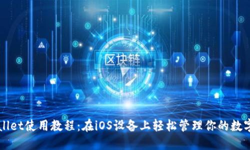TPWallet使用教程:在iOS设备上轻松管理你的数字资产