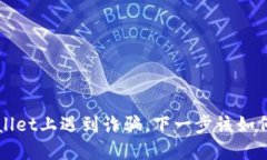 如果你在TPWallet上遇到诈骗，下一步该
