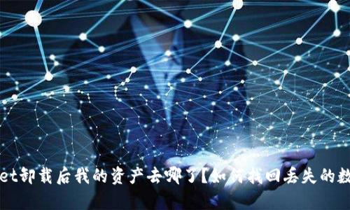 tpwallet卸载后我的资产去哪了?如何找回丢失的数字货币