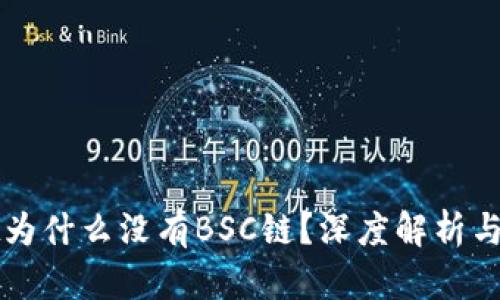 TPWallet为什么没有BSC链？深度解析与解决方案