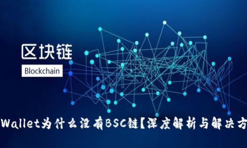 TPWallet为什么没有BSC链？深度解析与解决方案