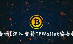 TPWallet安全吗？深入分析TPWallet安全性及用户指南