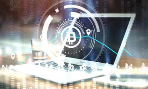 如何在NEO区块链钱包中查看私钥：全面指南