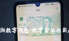 2021年罗湖数字钱包：数字金融的新趋势与应用