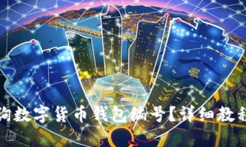 如何查询数字货币钱包编号？详细教程与技巧