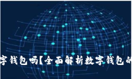 dcepai是数字钱包吗？全面解析数字钱包的功能与特点