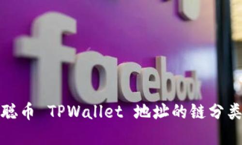 聪本聪币 TPWallet 地址的链分类详解