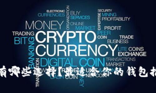 数字货币钱包有哪些选择？最适合你的钱包推荐及使用技巧