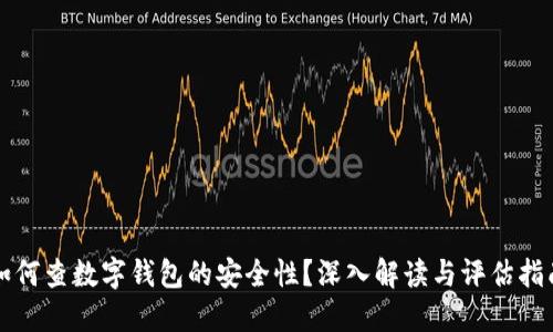 如何查数字钱包的安全性？深入解读与评估指南