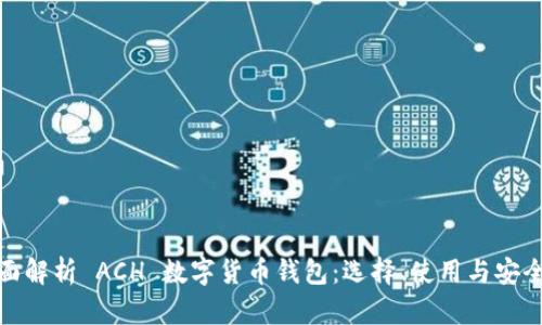 全面解析 ACH 数字货币钱包：选择、使用与安全性