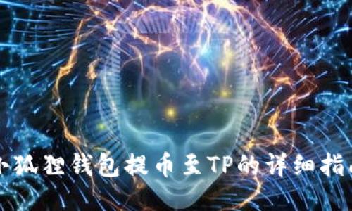 小狐狸钱包提币至TP的详细指南
