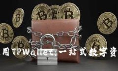 如何有效使用TPWallet：一站式数字资产