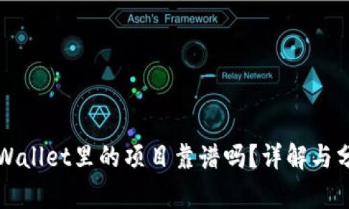 TPWallet里的项目靠谱吗？详解与分析