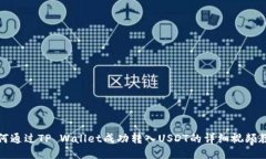 如何通过TP Wallet成功转入USDT的详细视