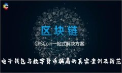 揭露电子钱包与数字货币骗局的真实案